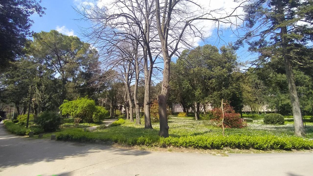 Apartment Antique Zadar - City Center Екстериор снимка